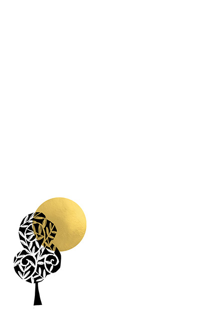 product image left